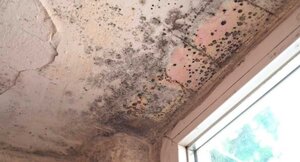 black mold on the ceiling of a winchester home